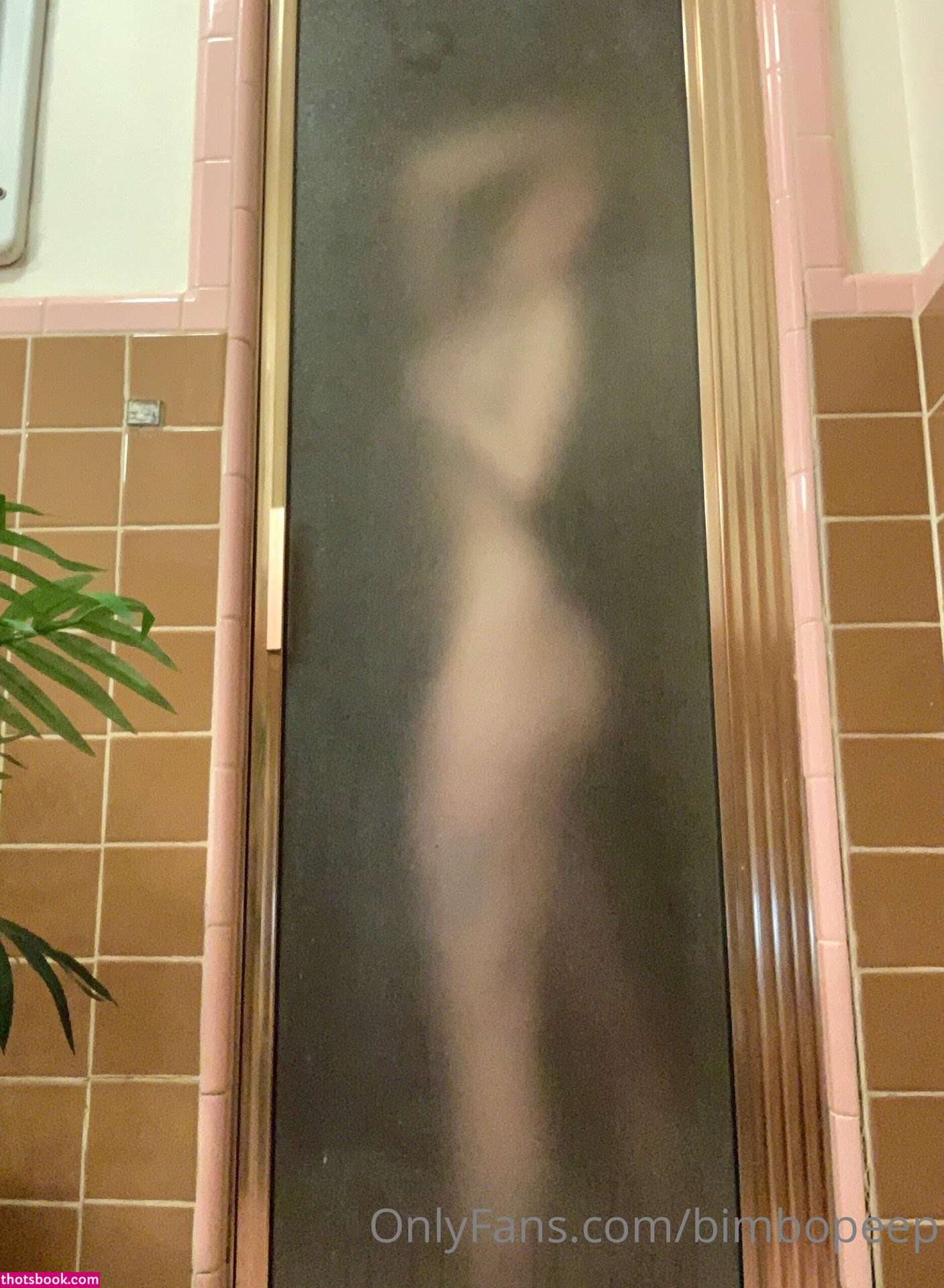 bimbopeep Nude OnlyFans Photos #12 1034452