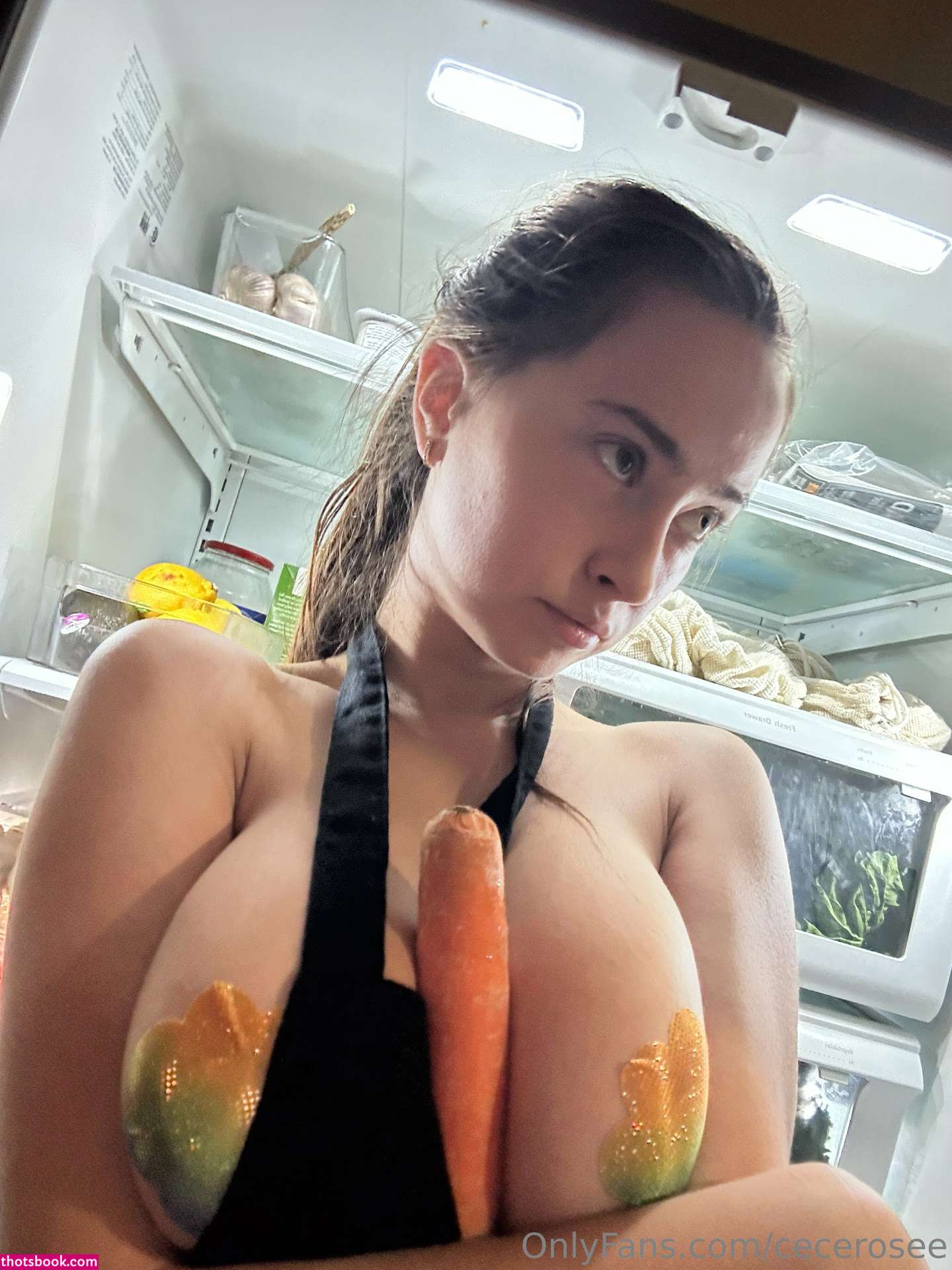 Cece Rose Nude OnlyFans Photos #28 466995