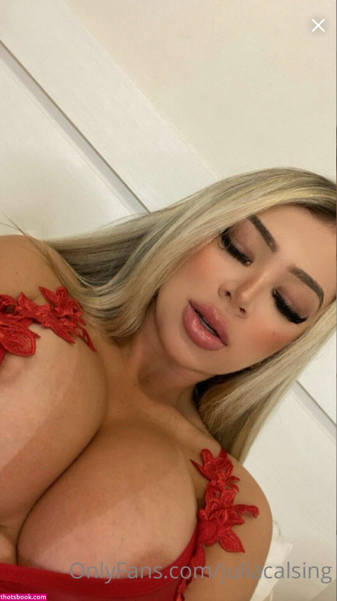 Julia Calsing Nude OnlyFans Photos #3 450623