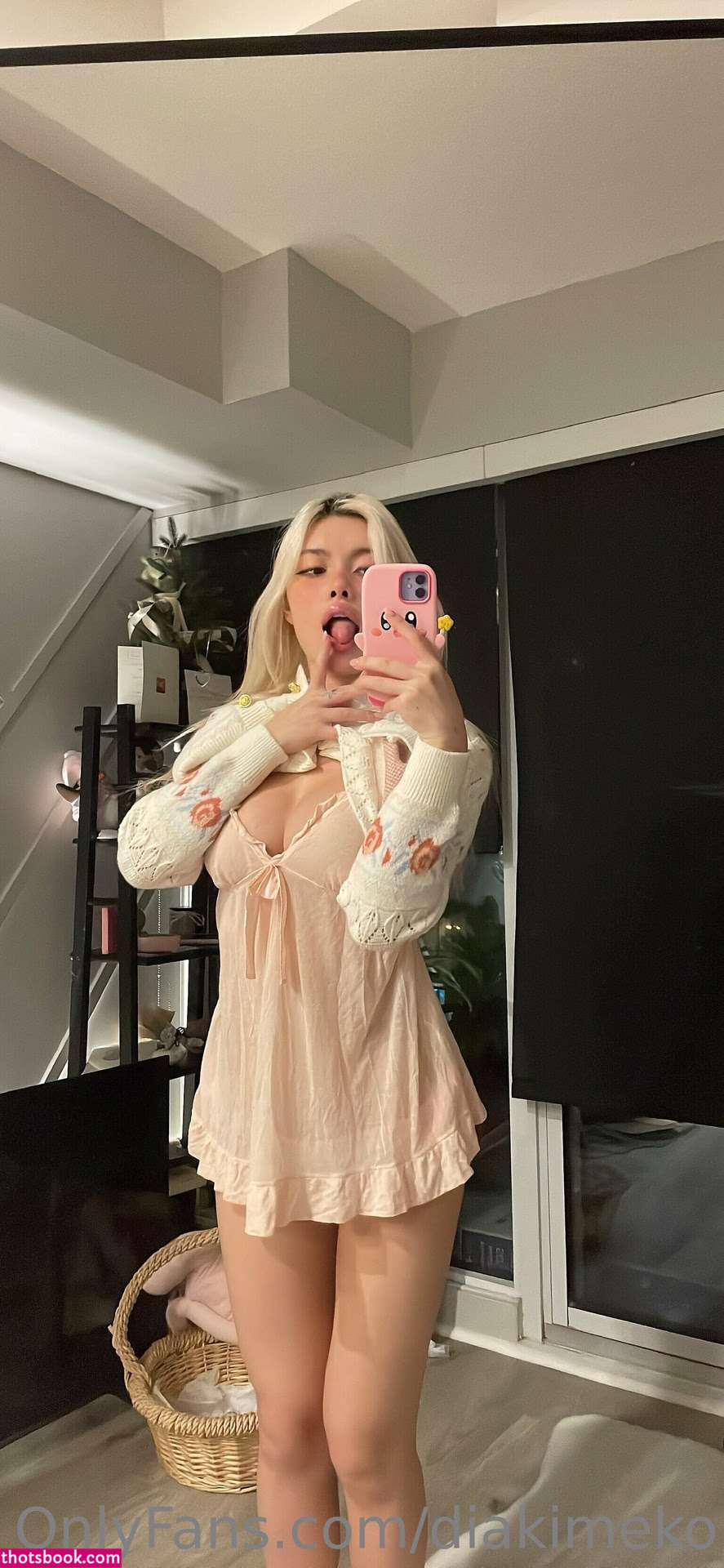 diakimeko Nude OnlyFans Photos #2 437539