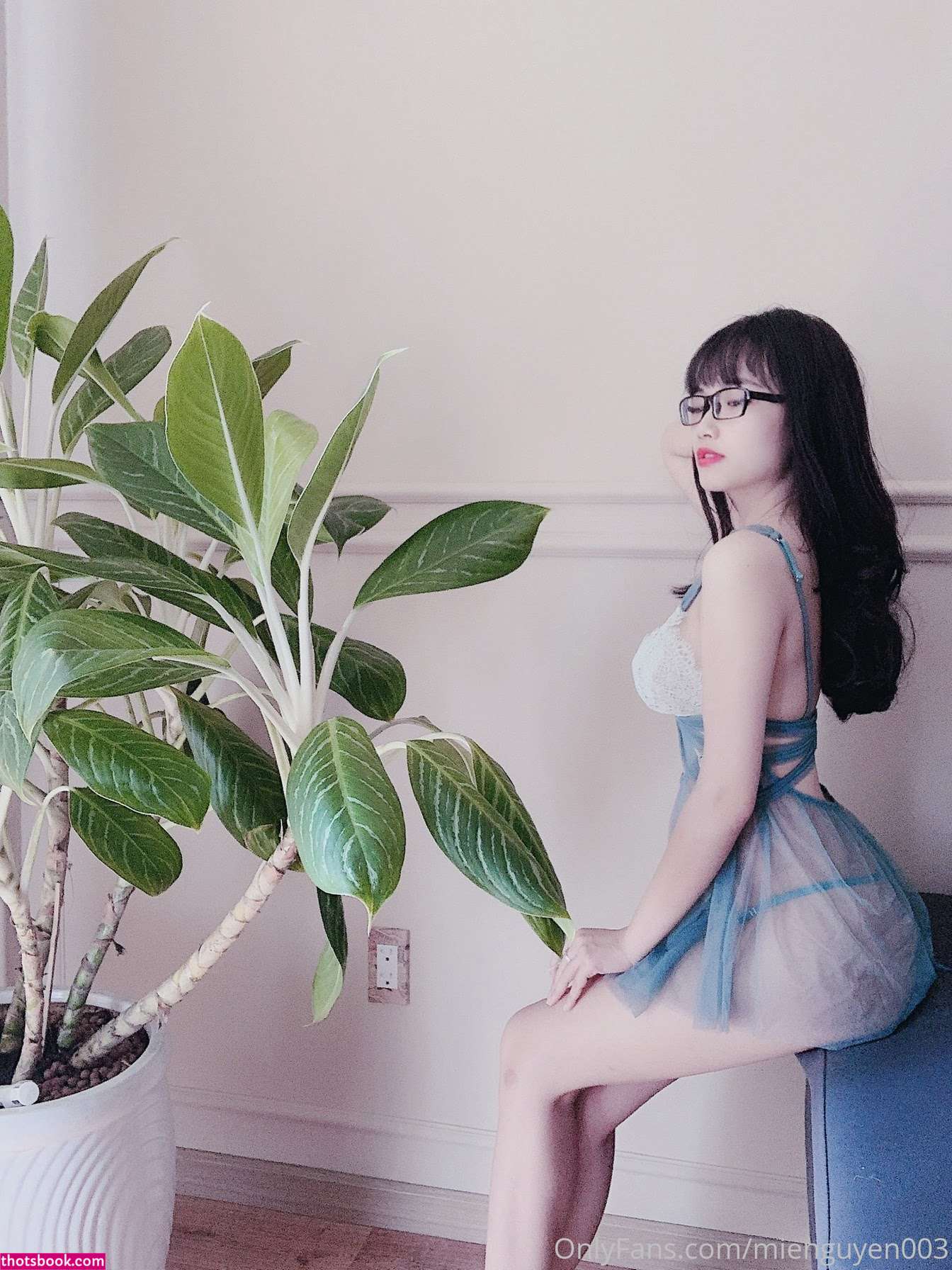 mie ngn3 mienguyen003 Nude Leaks OnlyFans Photos #3 1883919