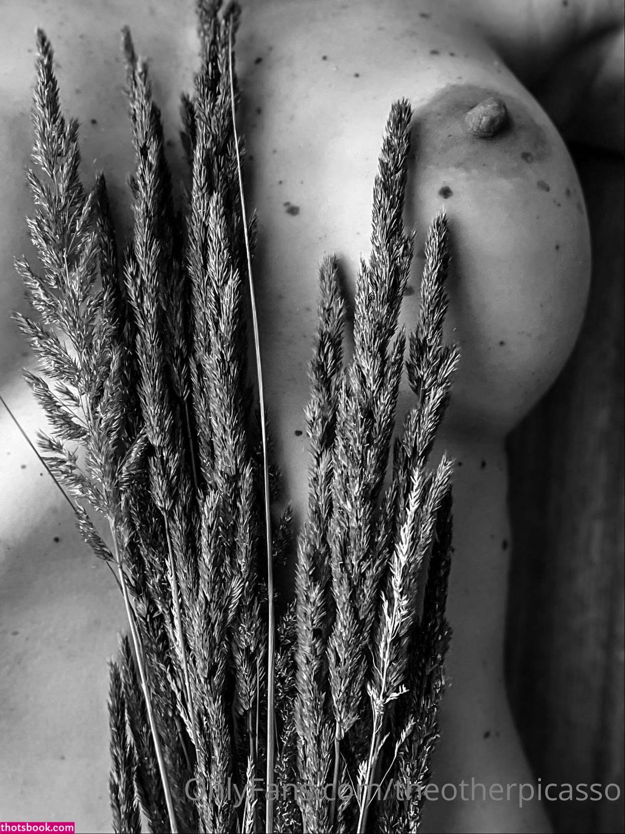 TheOtherPicasso Nude Leaks OnlyFans Photos #2 1887640