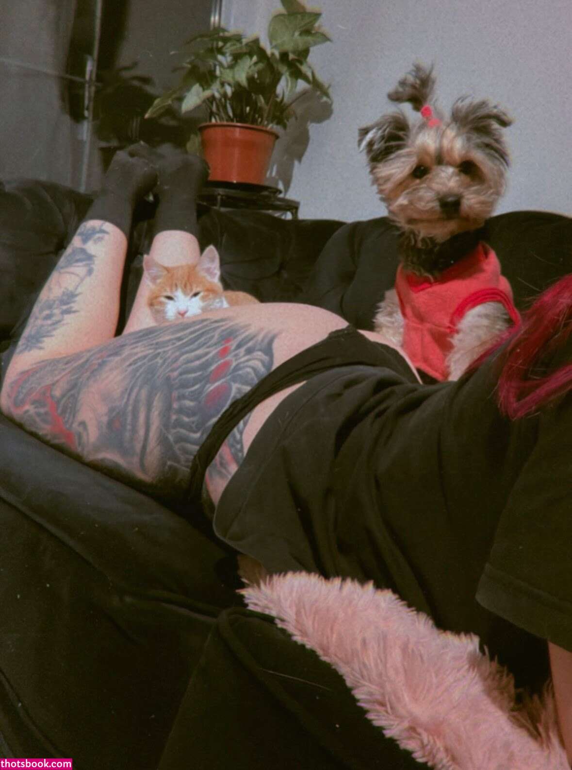 Aracne Nude Leaks OnlyFans Photos #1 1852251