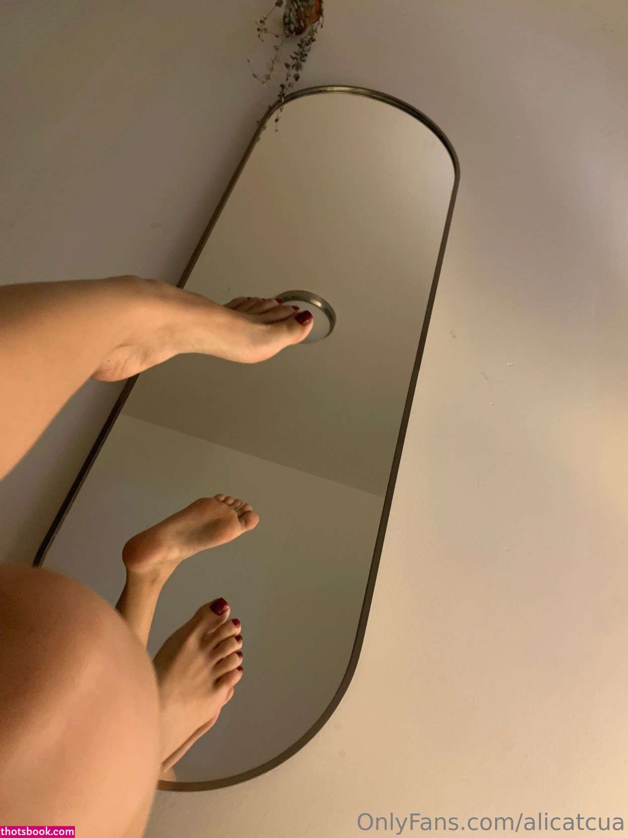 Alicatcua Nude Leaks OnlyFans Photos #3 1923269