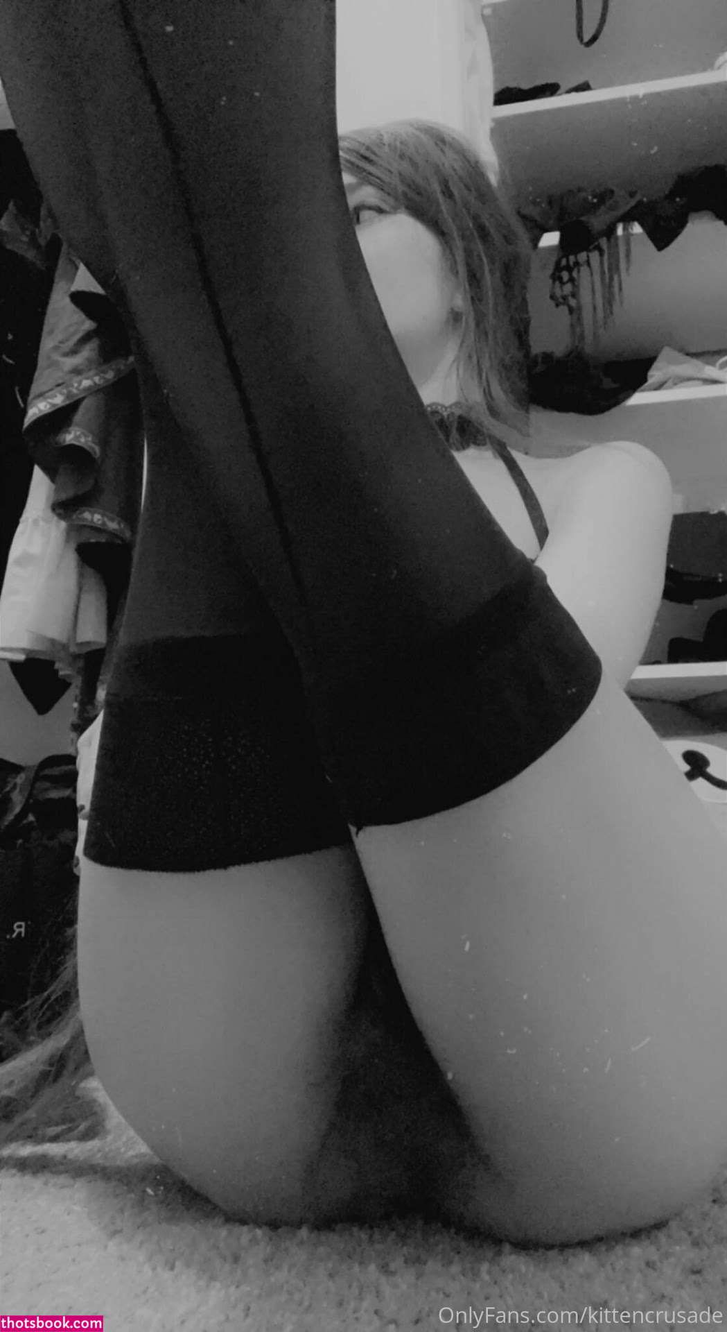 kittencrusade wobfet elaine arbor Nude Leaks OnlyFans Photos #5 1334531