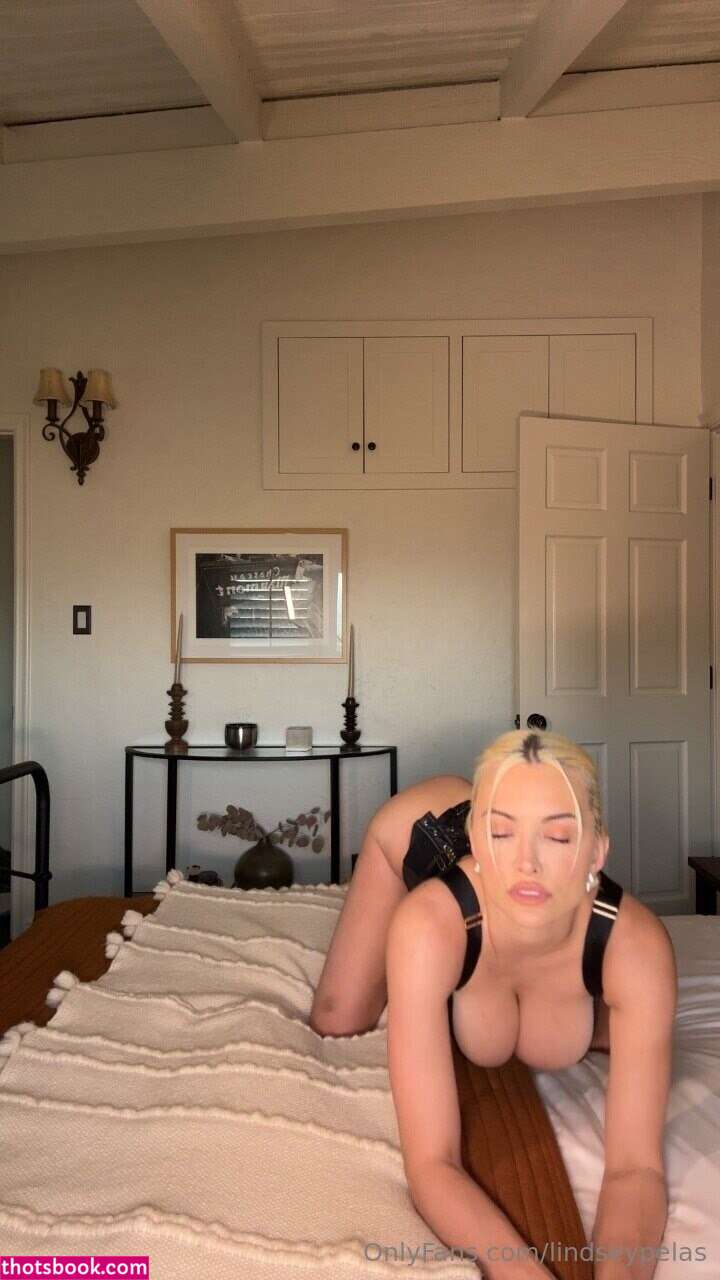 Lindsey Pelas Nude Leaks OnlyFans Photos #128 1897927