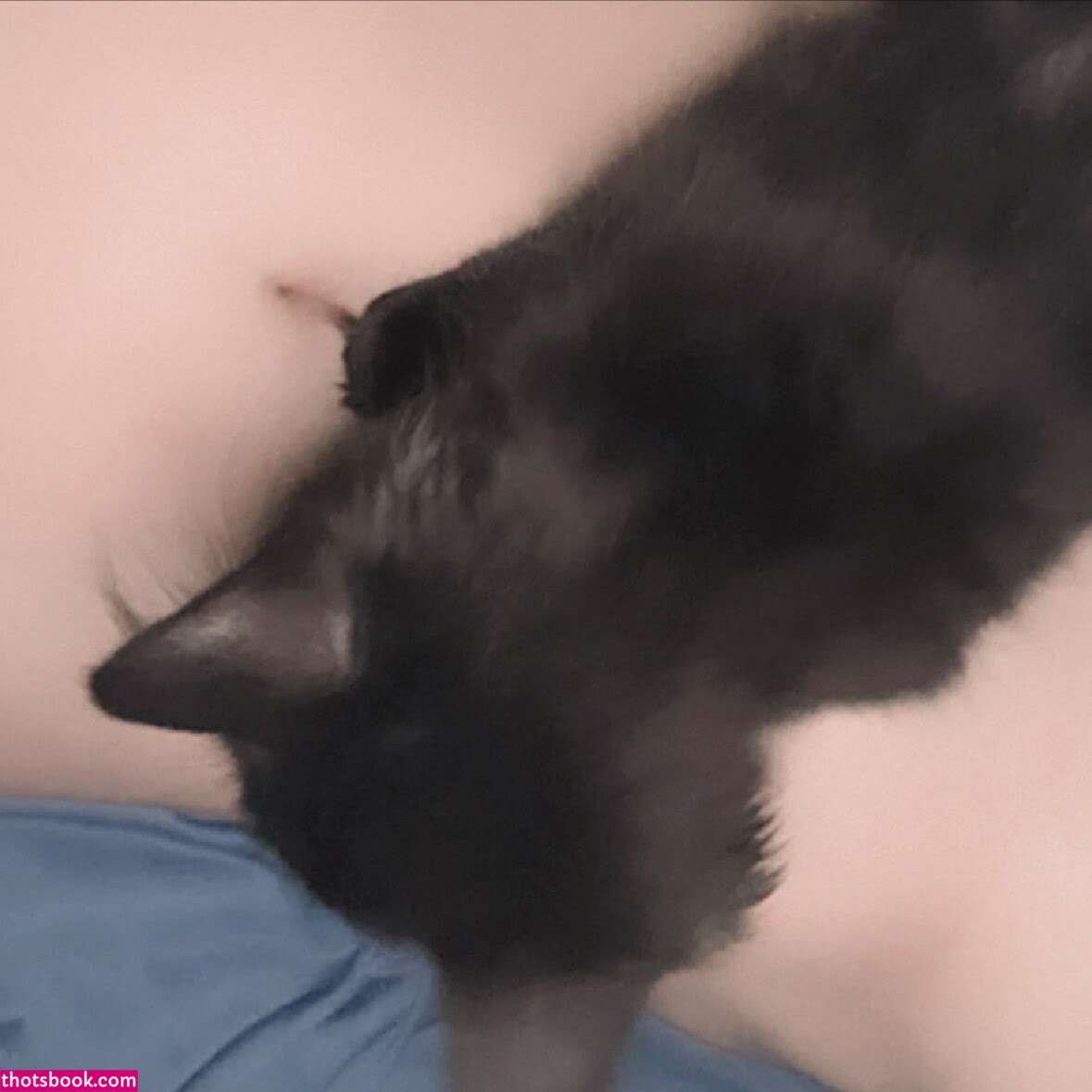 Elfinpsyop Nude Leaks OnlyFans Photos #1 1893573