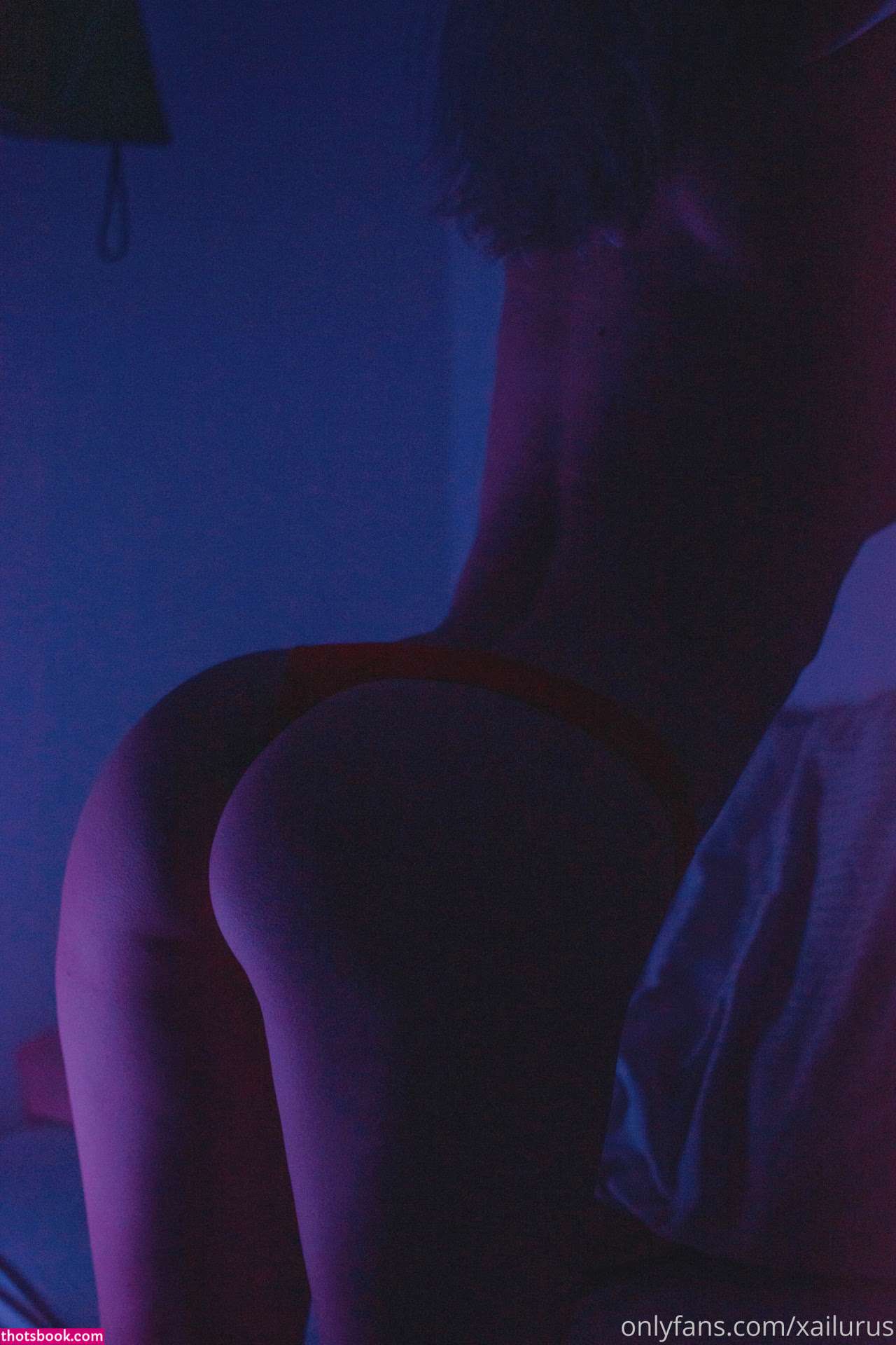 Xailurus Nude OnlyFans Photos #3 914632