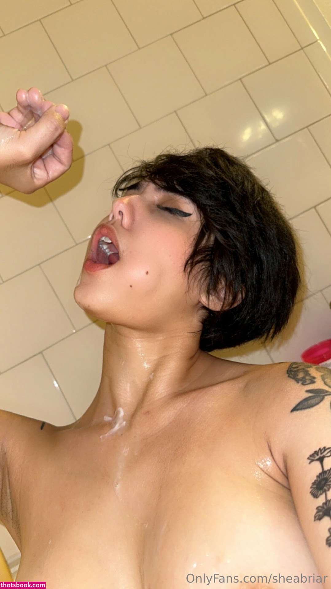 Shea Briar Nude OnlyFans Photos #8 873479