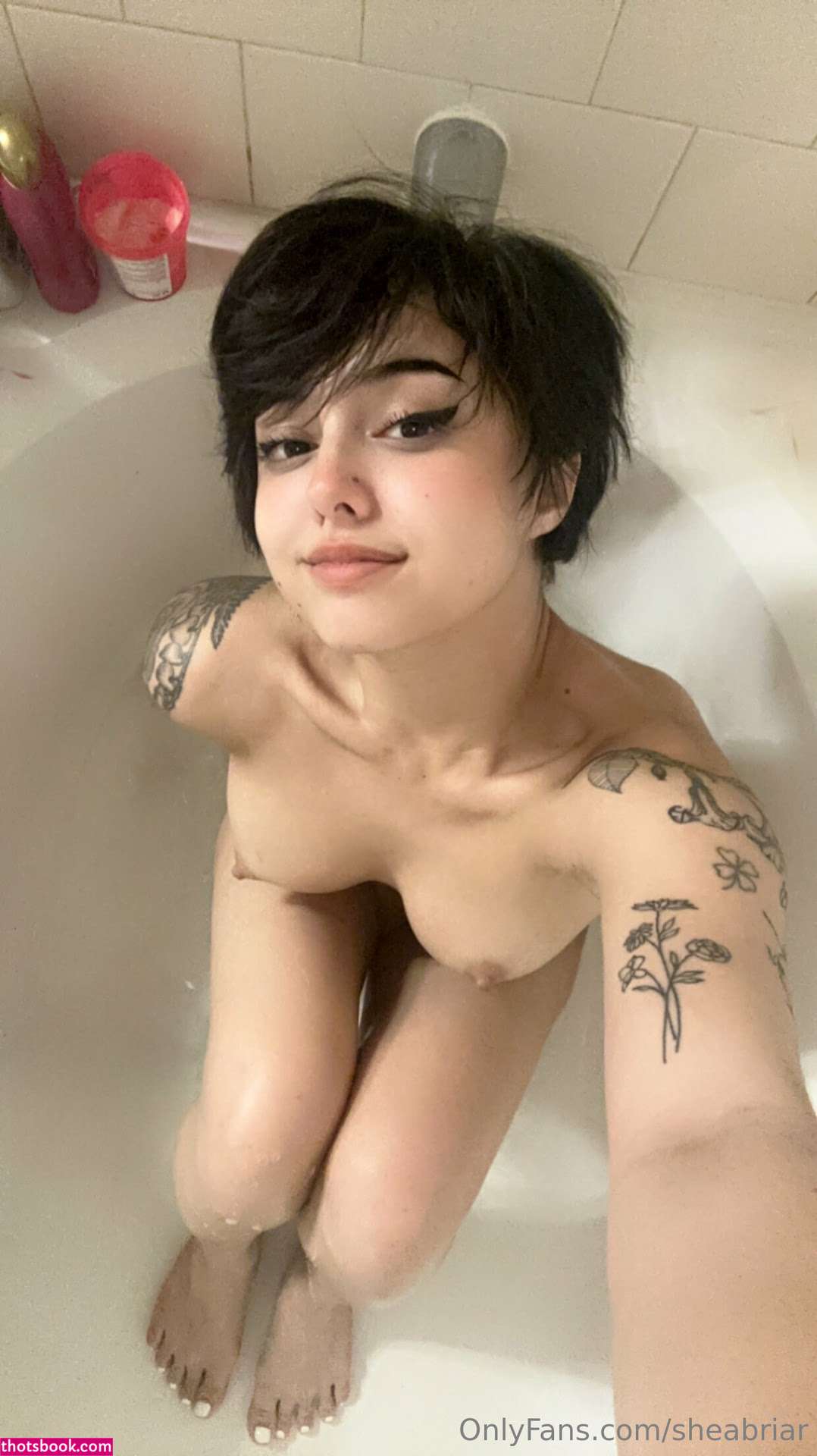 Shea Briar Nude OnlyFans Photos #8 873483