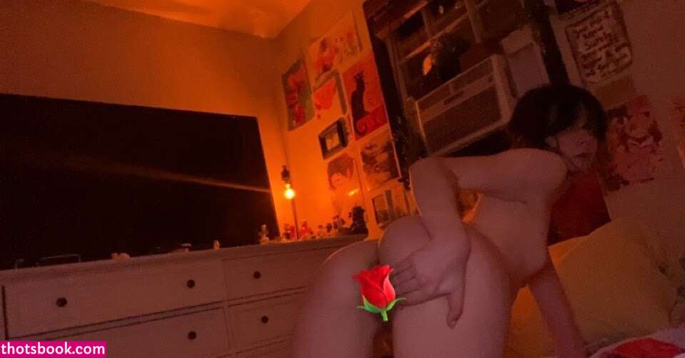 Missweeb Nude Leaks OnlyFans Photos #3 1500766