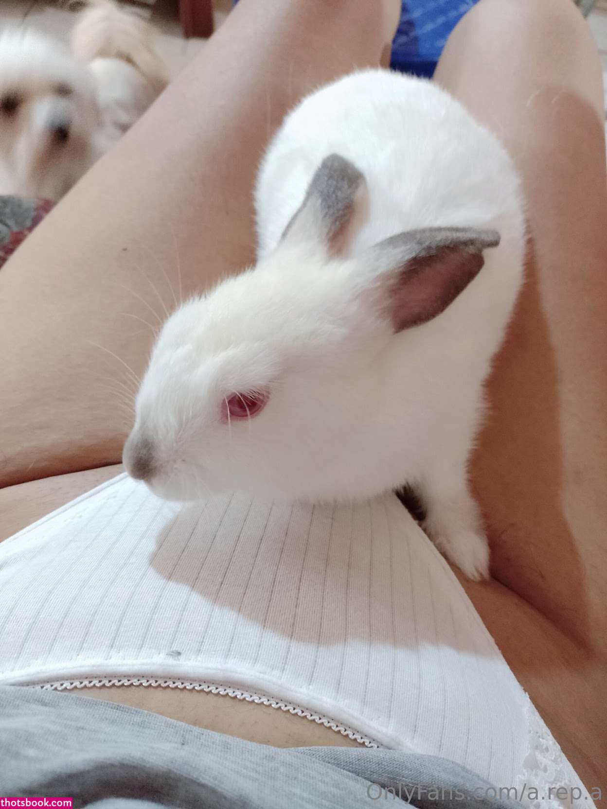 sailorveneka Nude Leaks OnlyFans Photos #1 1927630