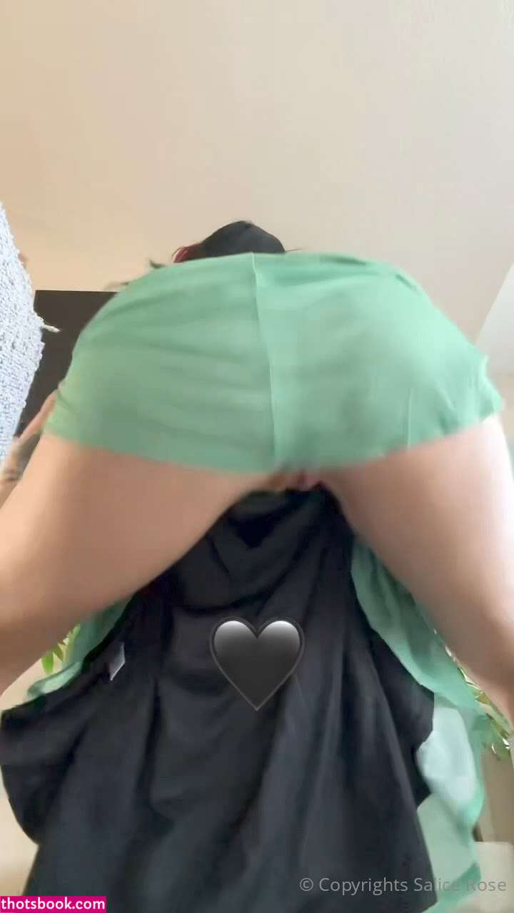 Salicerose Nude Leaks OnlyFans Photos #4 1938531