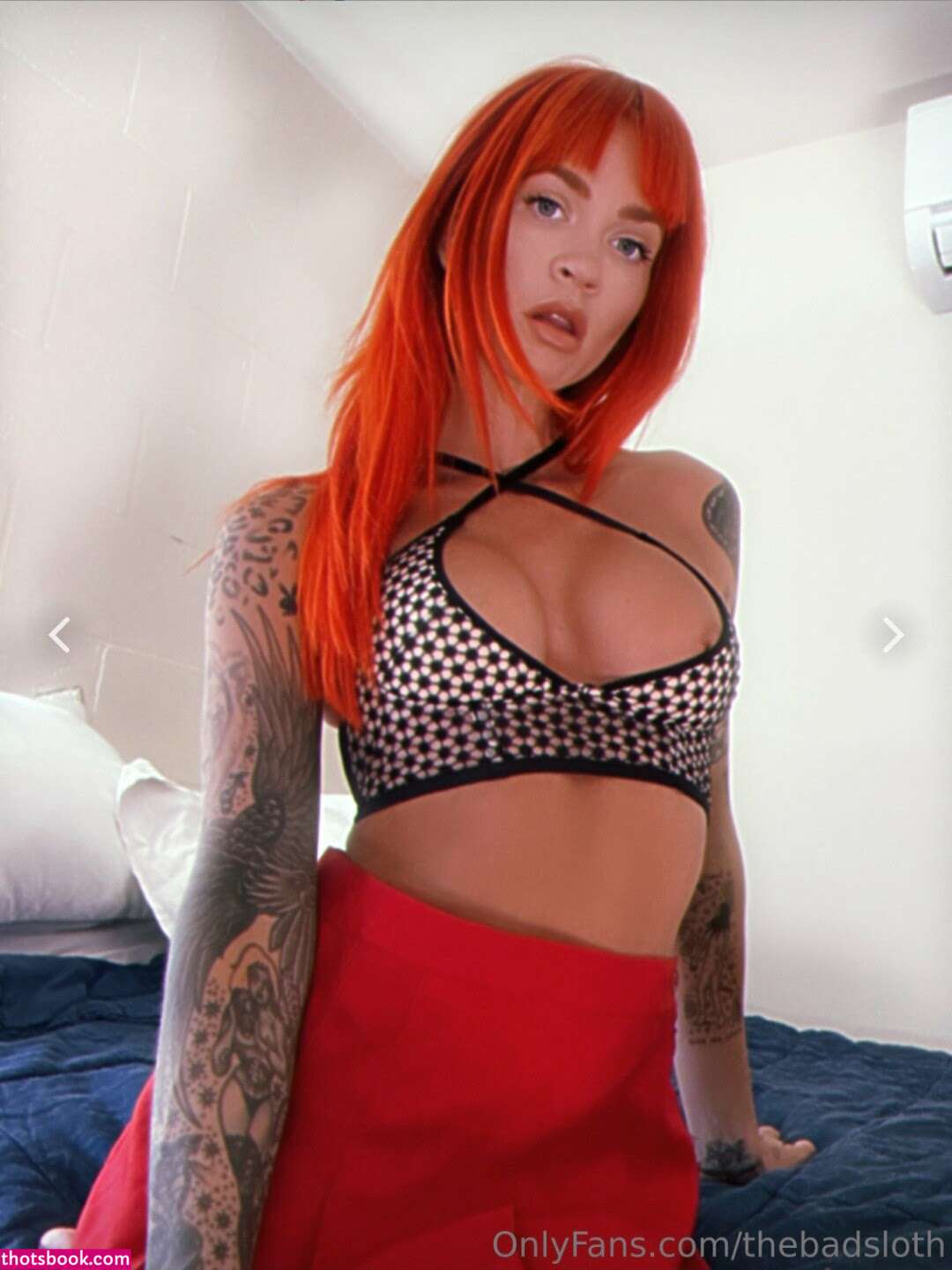 Briana Stimmel Brianna Alexa Van TheBadSloth Nude Leaks OnlyFans Photos #5 1576136