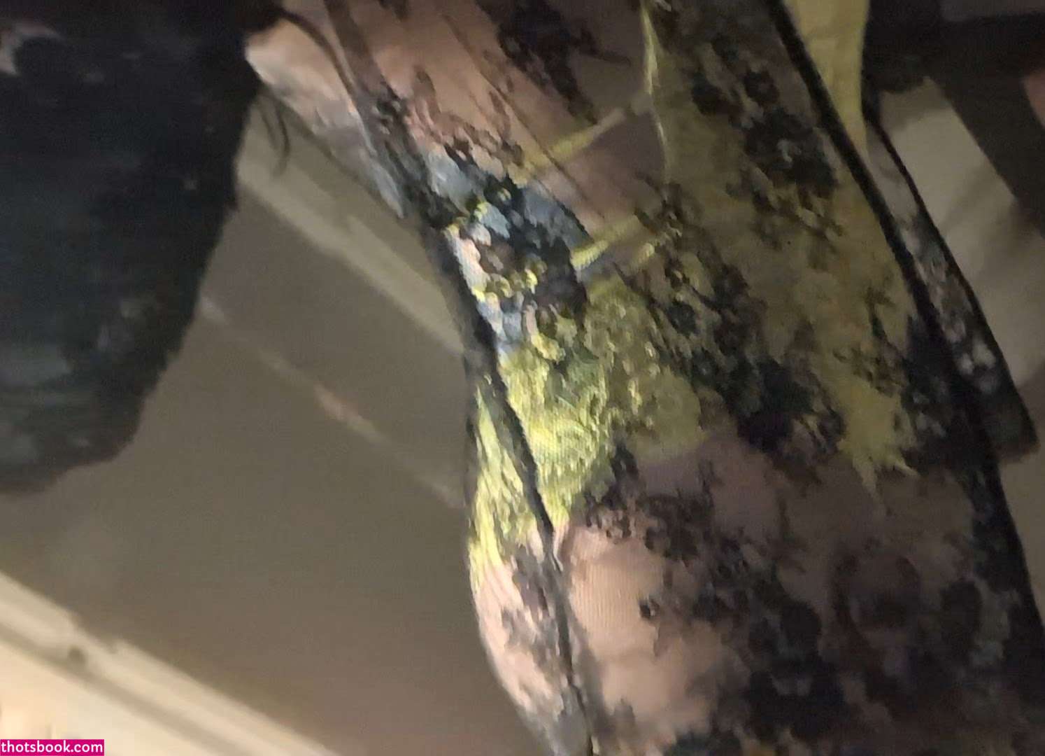 Algorithmsayshi Nude Leaks OnlyFans Photos #4 1838794