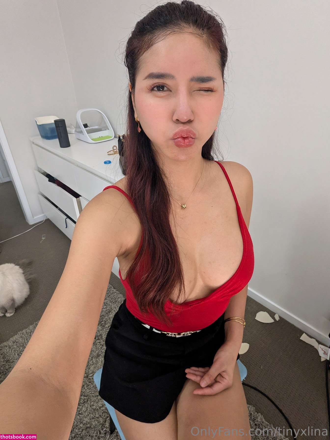 TinyxLina its me linaaa imtinylina Nude Leaks OnlyFans Photos #4 1849838