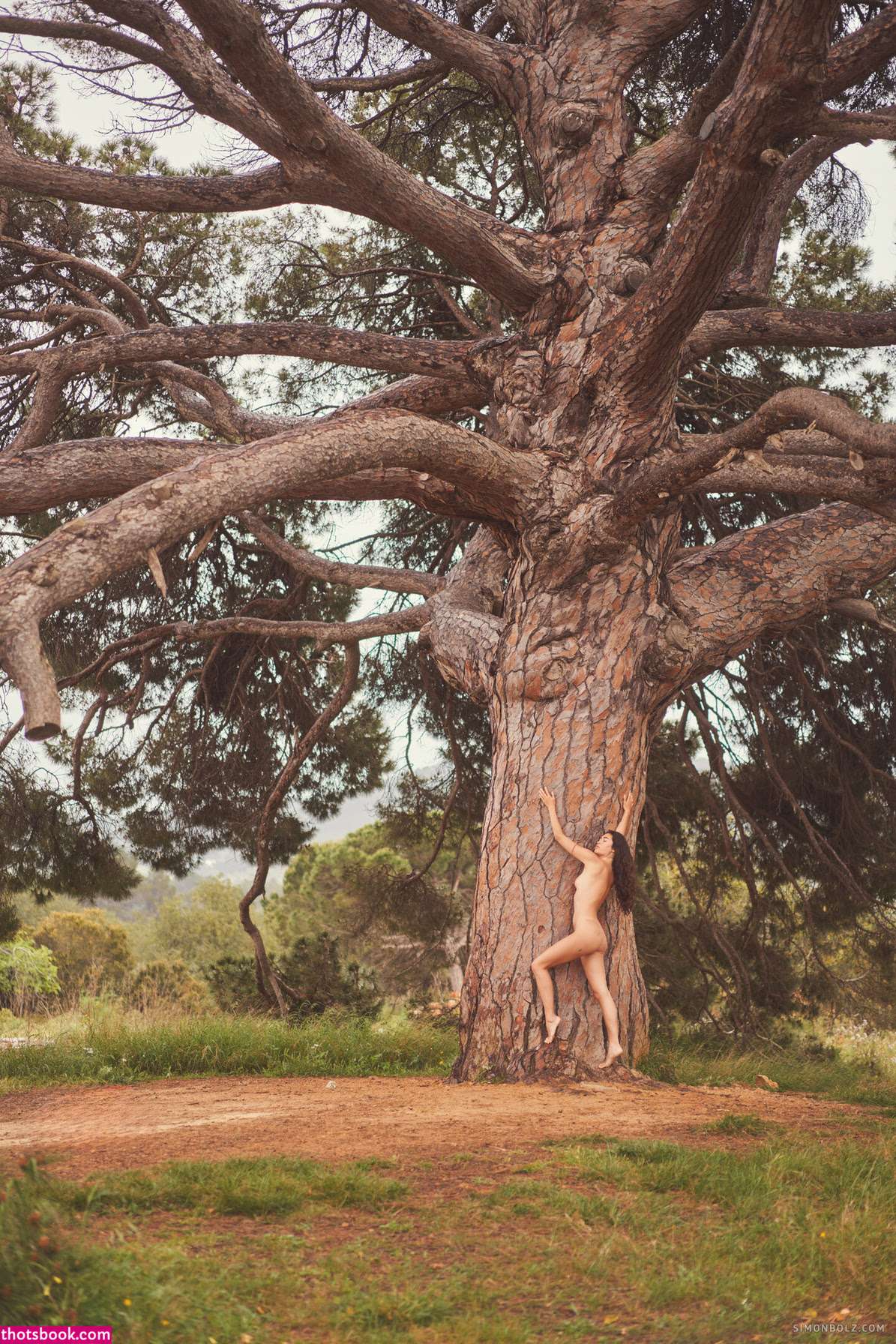 Tezz Tran bosatezz Tezz Tranova Nude Leaks OnlyFans Photos #3 1833713