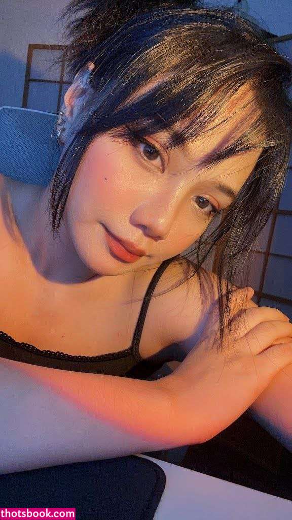 xseirix sei seiri Nude Leaks OnlyFans Photos #6 1834211