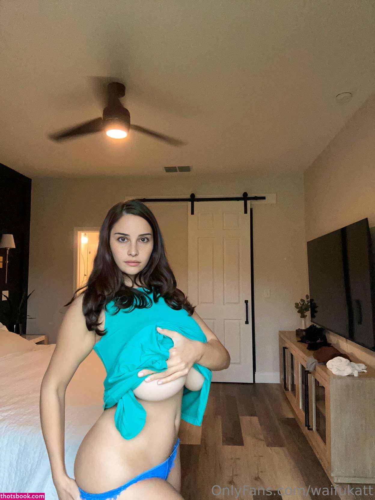 waifukatt Nude Leaks OnlyFans Photos #3 1790794