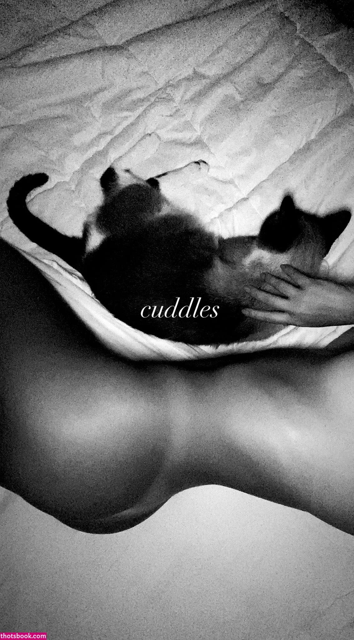 Layla Foz Nude Leaks OnlyFans Photos #3 1819317