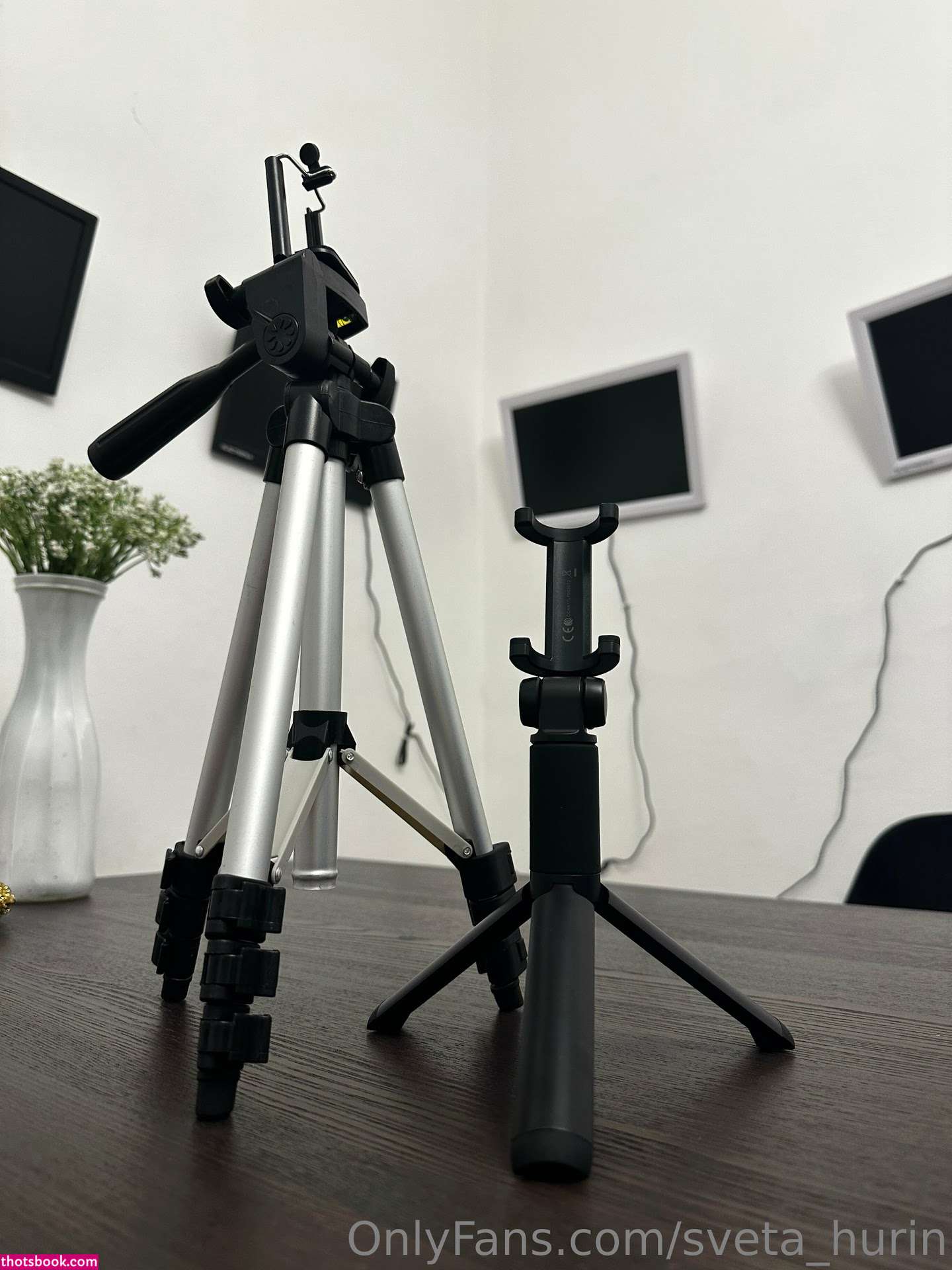 Sveta Hurin Nude OnlyFans Photos #2 1085032