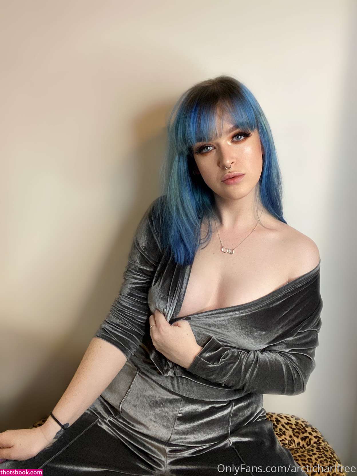 otherarcticharl Nude Leaks OnlyFans Photos #2 1786773