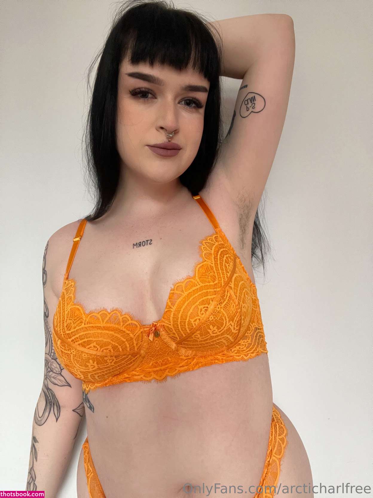 otherarcticharl Nude Leaks OnlyFans Photos #4 1786786