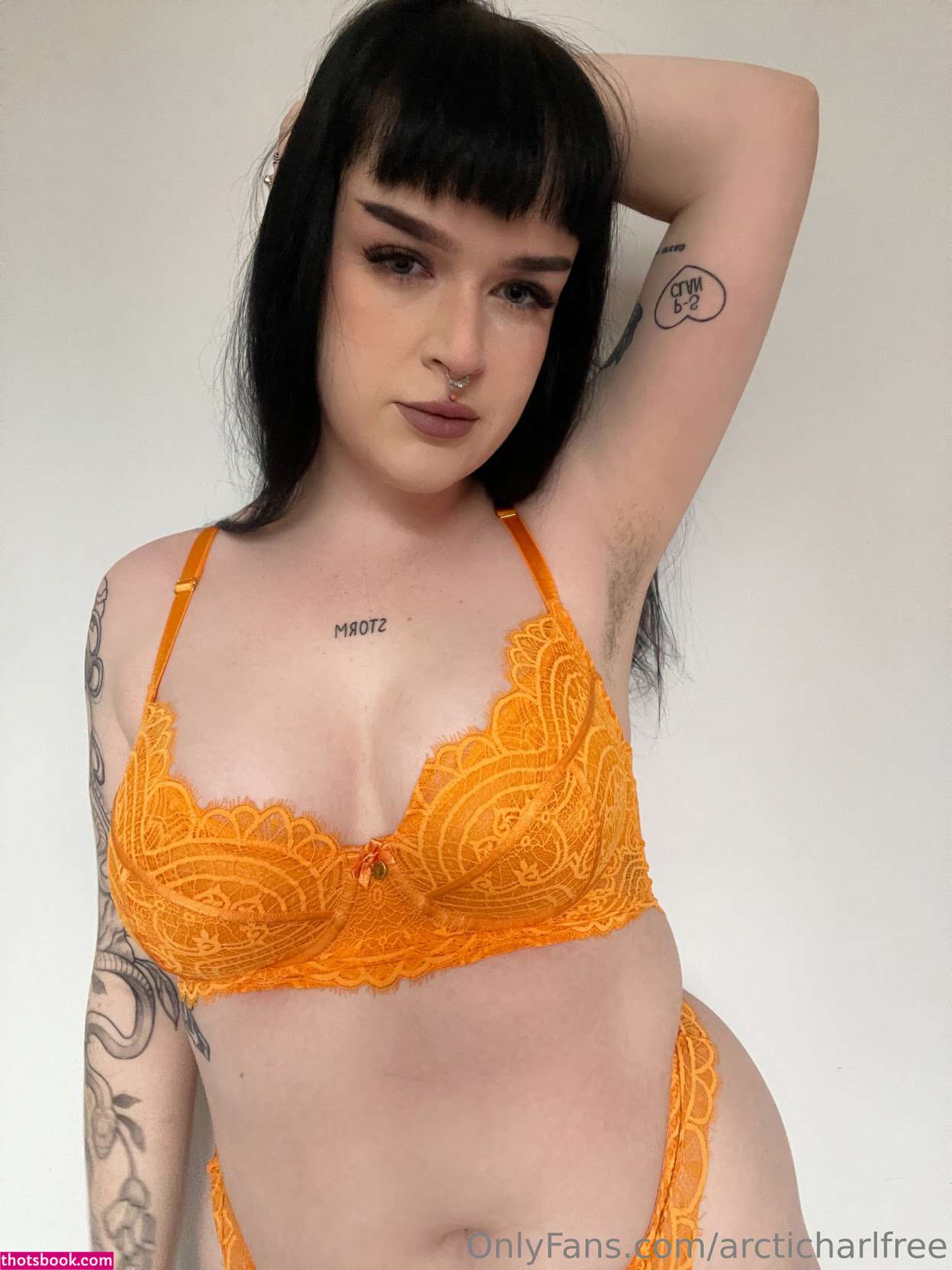 otherarcticharl Nude Leaks OnlyFans Photos #4 1786788