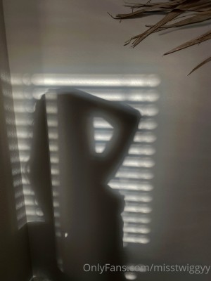 misstwiggyy Nude Leaks OnlyFans Photos #4